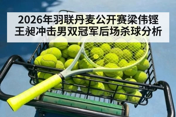 2026年羽联丹麦公开赛梁伟铿王昶冲击男双冠军后场杀球分析